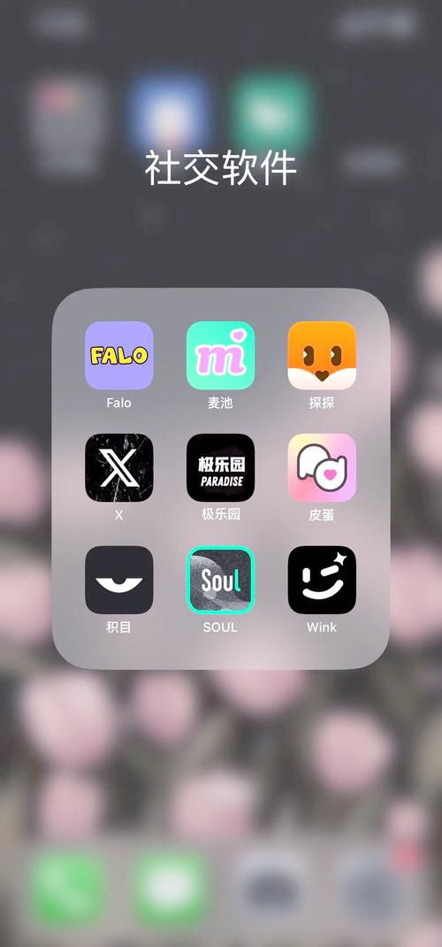 b站推广的跟日本人聊天交友的软件叫什么，B站UP主推荐的真实体验分享